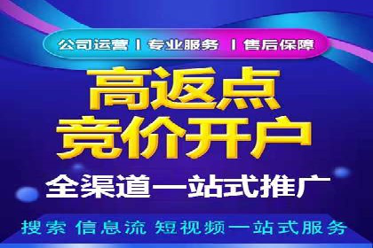 百度推广公司的成功案例：如何实现广告投资回报最大化